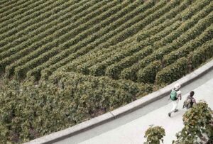 Lire la suite à propos de l’article Harvest of our Century