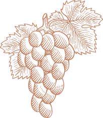 logo main